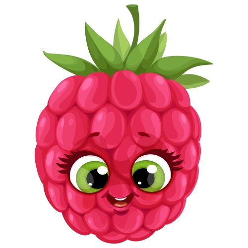 Craft Supply Classroom Cutout | Cartoon or Plain Raspberry Fruit Cutout